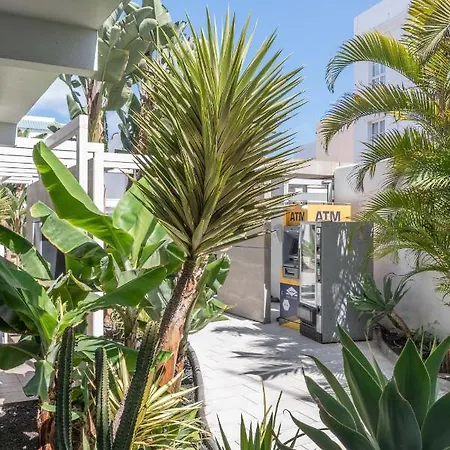 Gaviota Holidayfv Daire *